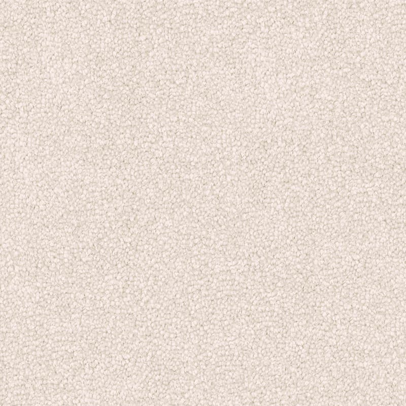 Infatuation - Casa Blanca - Carpet Melbourne