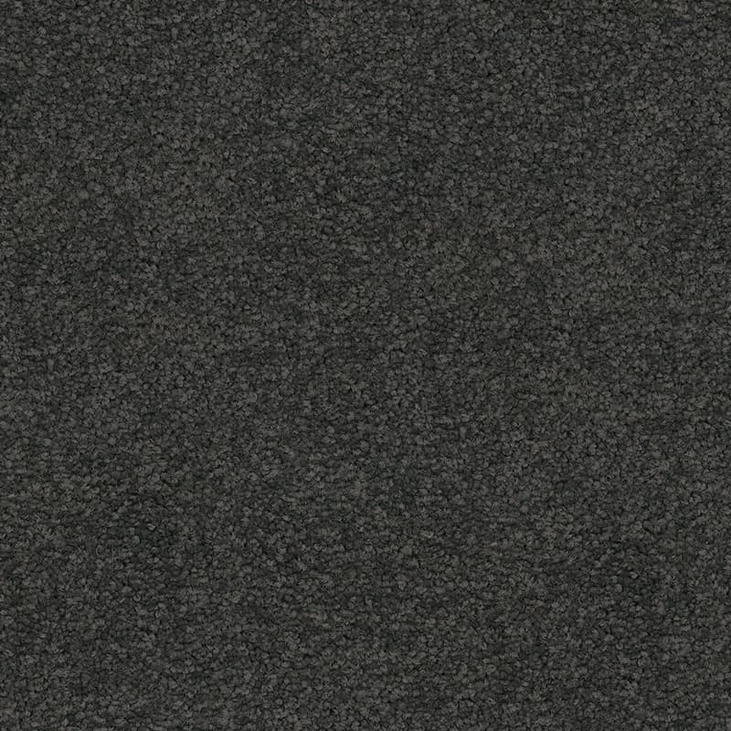 Warm Grey