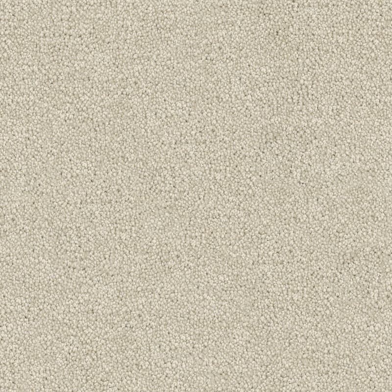 Tivoli - Latte - Carpet Melbourne