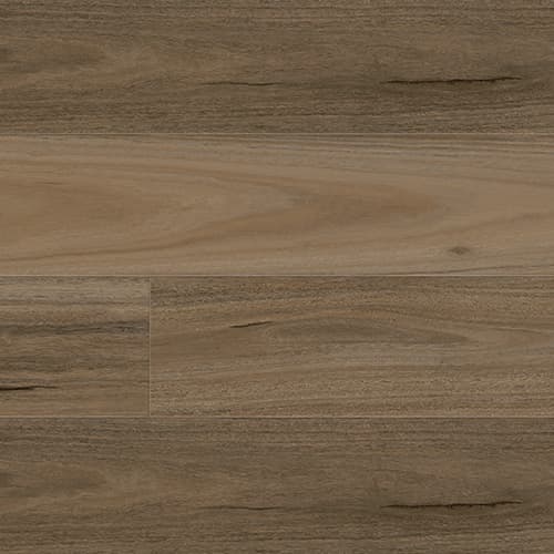 Country Spotted Gum