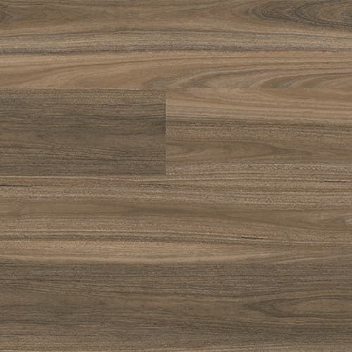 Highland Spotted Gum