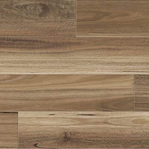 Native Spotted Gum